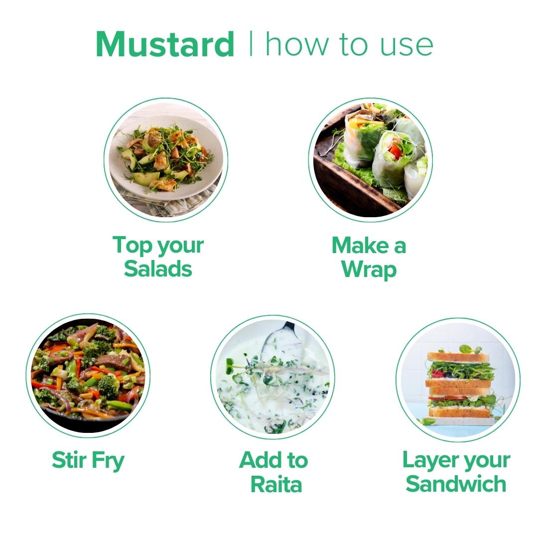 Mustard Microgreens