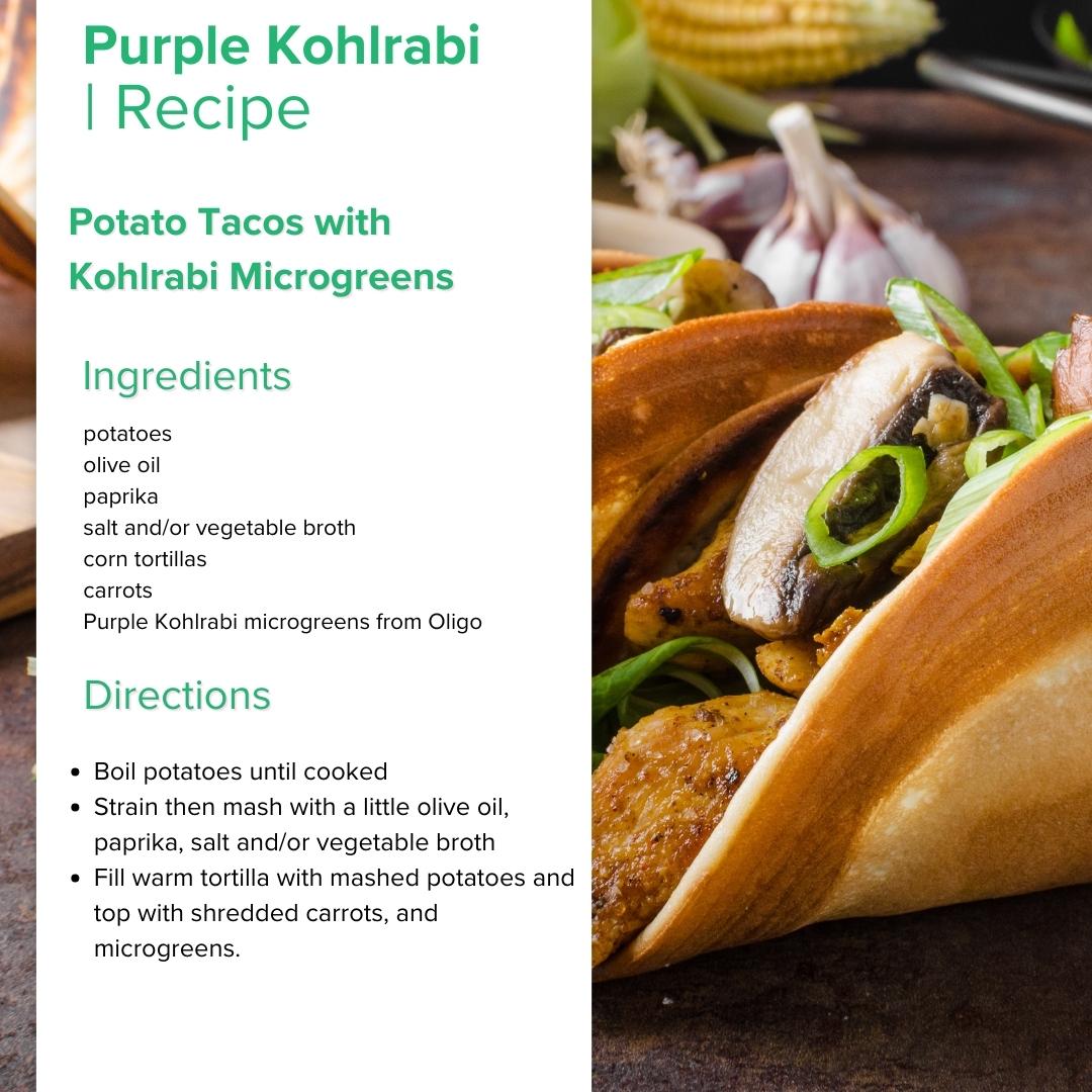 Purple Kohlrabi Microgreens