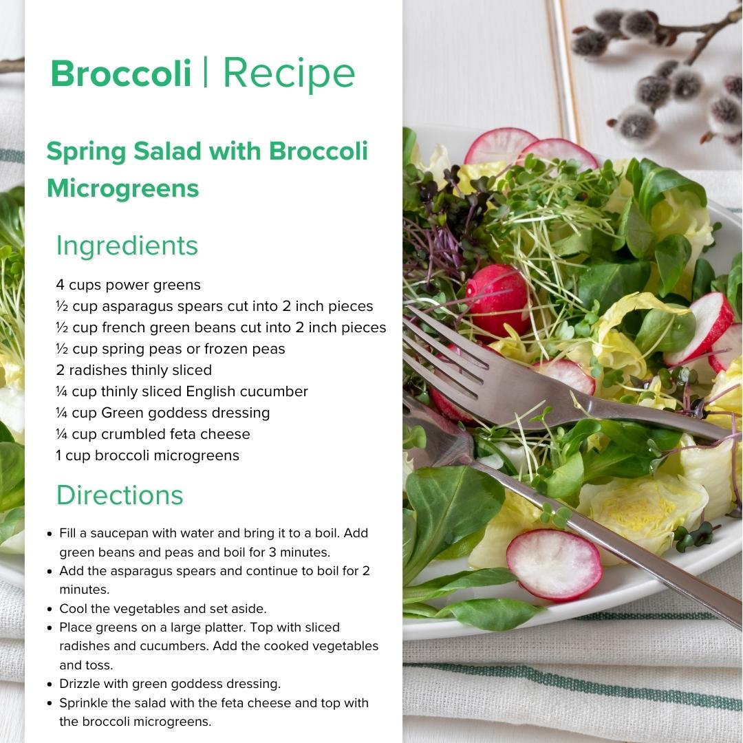 Broccoli Microgreens