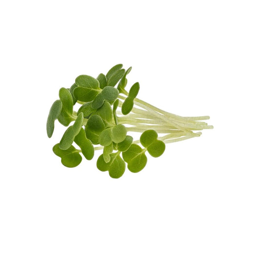 Mustard Microgreens