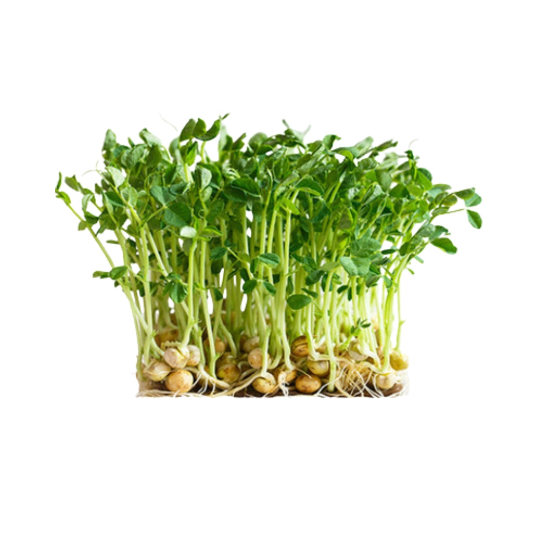 Pea Shoots