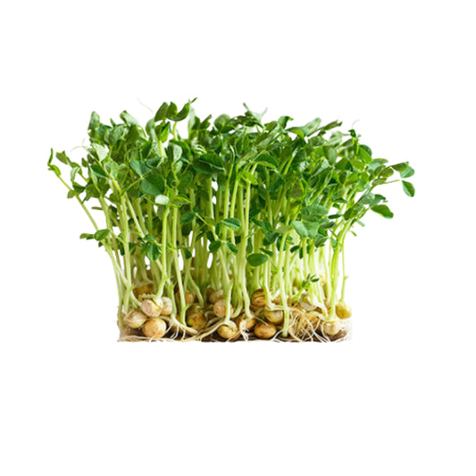 Pea Shoots
