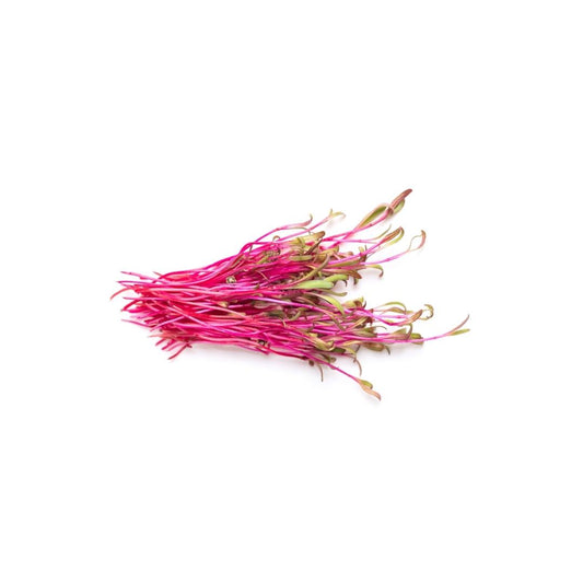 Beetroot Microgreens