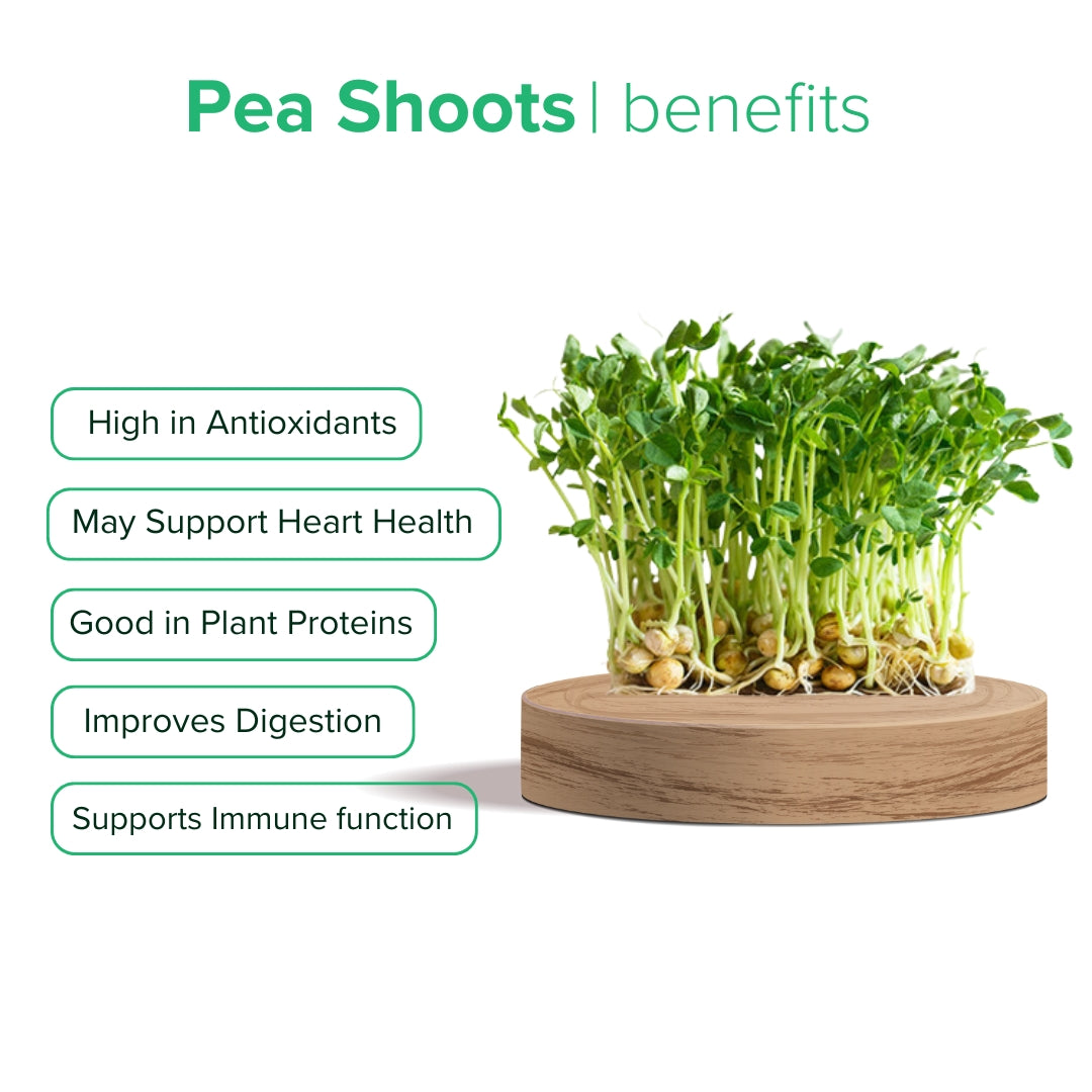 Pea Shoots