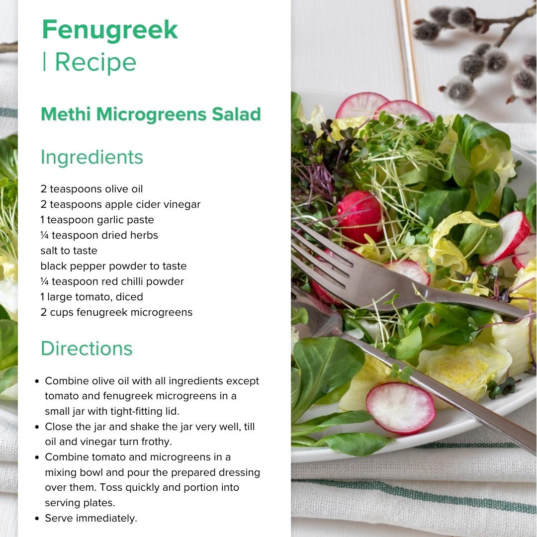 Fenugreek Microgreens